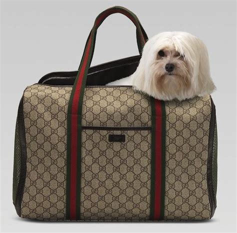 gucci maltese small